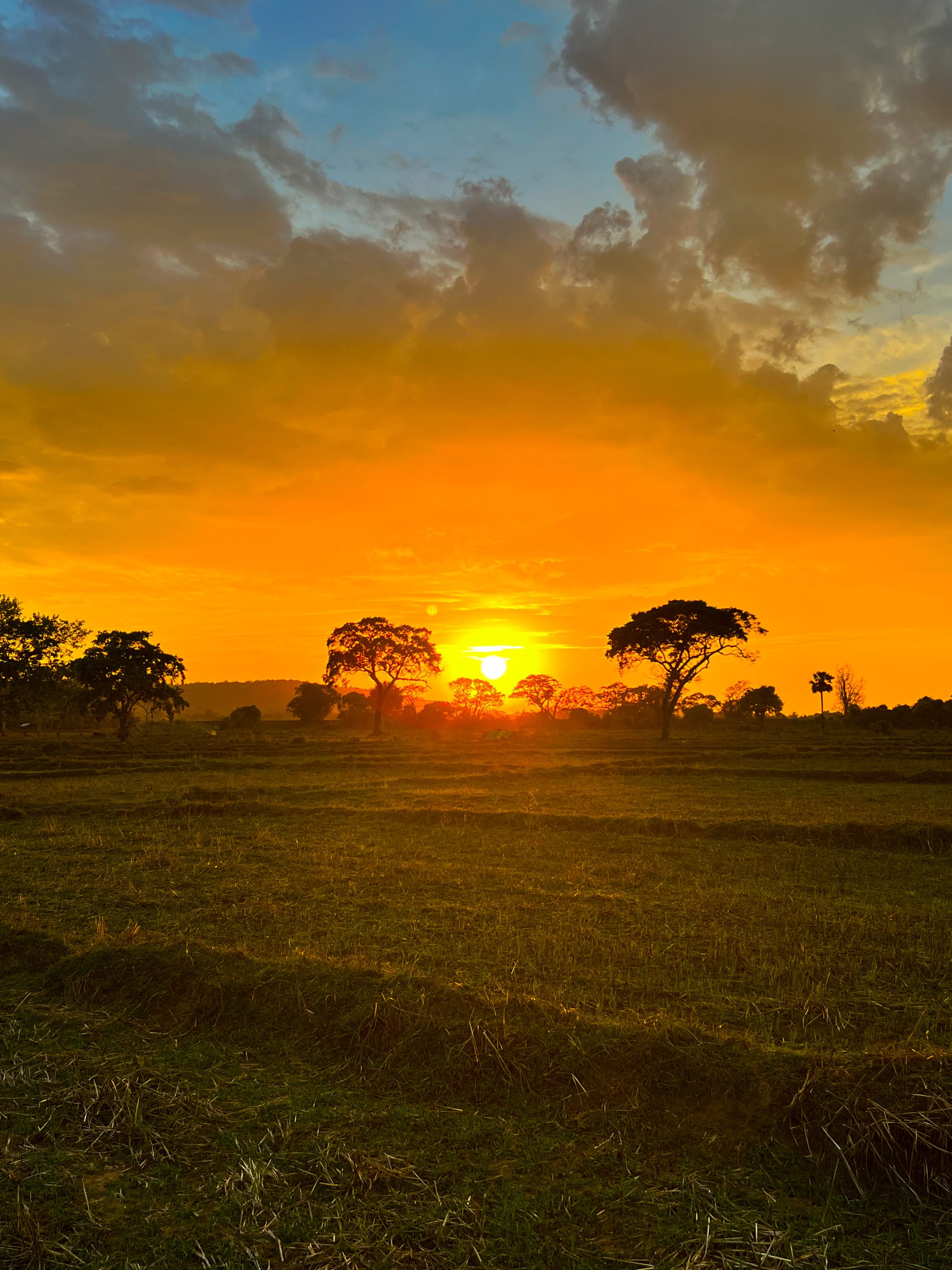 Coucher de soleil Sri Lanka